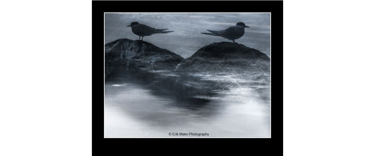 image taken be Erik Malm